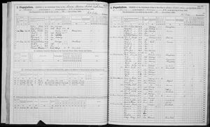 New York, U.S., State Census, 1865