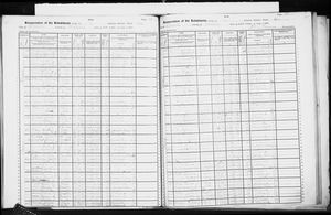 New York, U.S., State Census, 1905