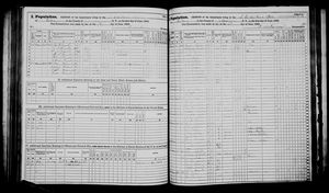 New York, U.S., State Census, 1865