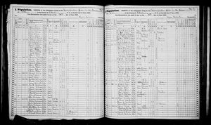 New York, U.S., State Census, 1865