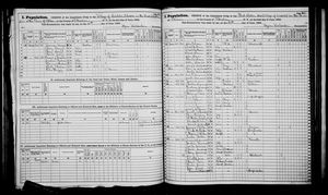 New York, U.S., State Census, 1865