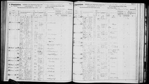 New York, U.S., State Census, 1875