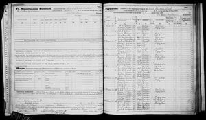 New York, U.S., State Census, 1875