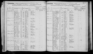 New York, U.S., State Census, 1875