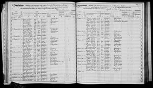 New York, U.S., State Census, 1875