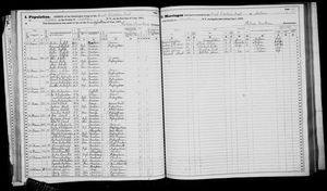 New York, U.S., State Census, 1875