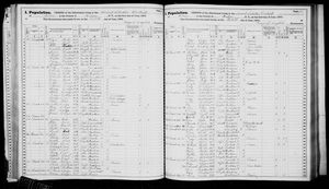 New York, U.S., State Census, 1875