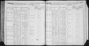 New York, U.S., State Census, 1875