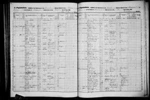 New York, U.S., State Census, 1855