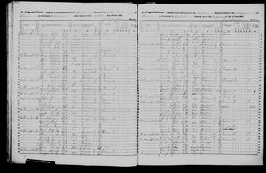 New York, U.S., State Census, 1855