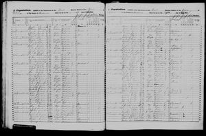 New York, U.S., State Census, 1855