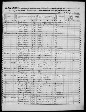 New York, U.S., State Census, 1855