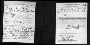 U.S., World War I Draft Registration Cards, 1917-1918