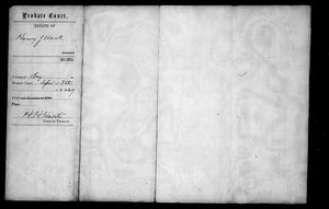 Michigan, U.S., Wills and Probate Records, 1784-1980