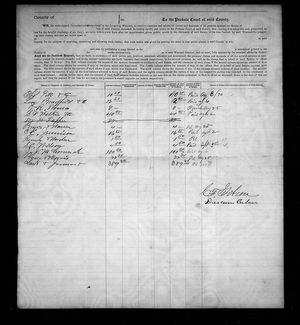 Michigan, U.S., Wills and Probate Records, 1784-1980