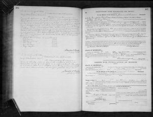 Michigan, U.S., Wills and Probate Records, 1784-1980