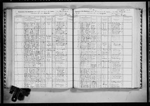 New York, U.S., State Census, 1915