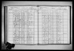 New York, U.S., State Census, 1915