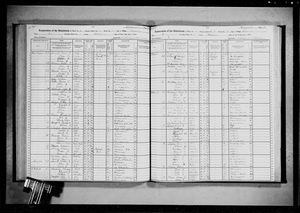 New York, U.S., State Census, 1915