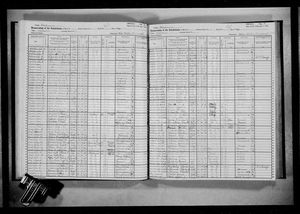 New York, U.S., State Census, 1925