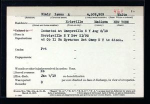 New York, U.S., Abstracts of World War I Military Service, 1917-1919