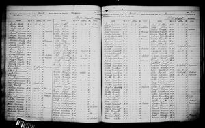 New York, U.S., State Census, 1892