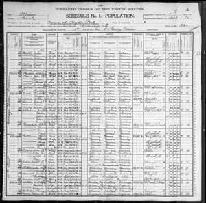 1900 United States Federal Census