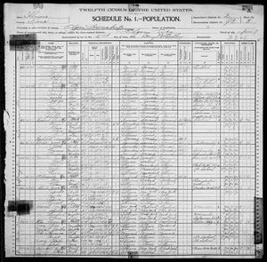 1900 United States Federal Census