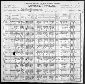 1900 United States Federal Census