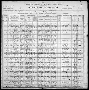 1900 United States Federal Census