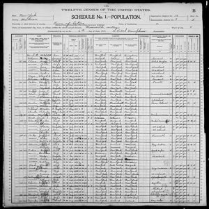 1900 United States Federal Census