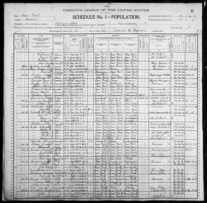 1900 United States Federal Census