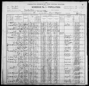 1900 United States Federal Census