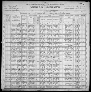 1900 United States Federal Census