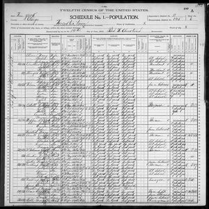 1900 United States Federal Census