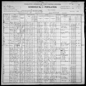 1900 United States Federal Census