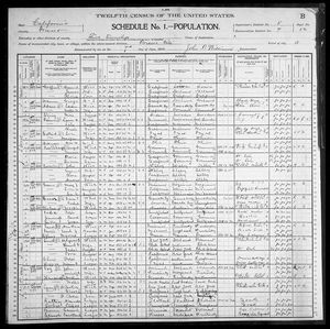 1900 United States Federal Census