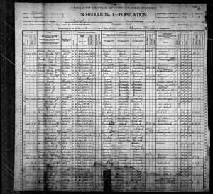 1900 United States Federal Census