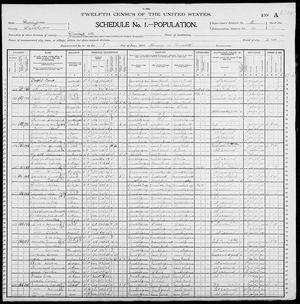 1900 United States Federal Census