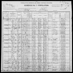 1900 United States Federal Census