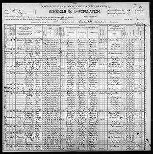 1900 United States Federal Census