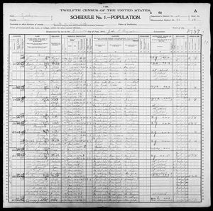 1900 United States Federal Census