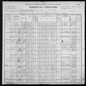 1900 United States Federal Census