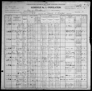 1900 United States Federal Census