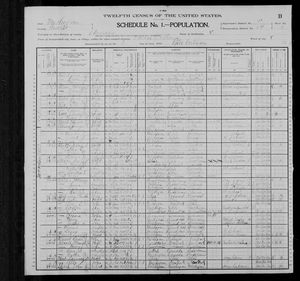 1900 United States Federal Census