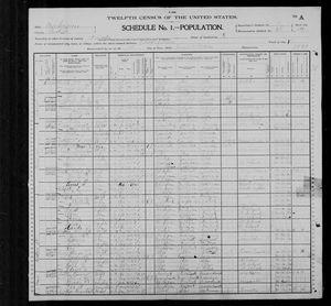 1900 United States Federal Census