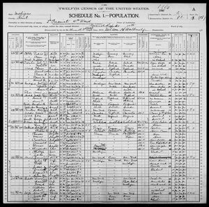 1900 United States Federal Census