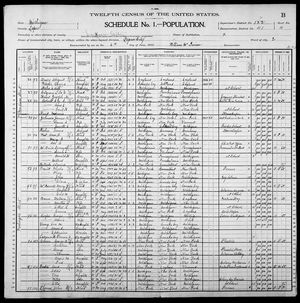 1900 United States Federal Census