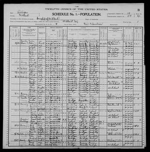 1900 United States Federal Census