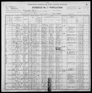 1900 United States Federal Census